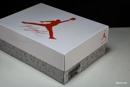 JORDAN 4 -  CT8527-116 RETRO 0822